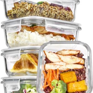 Glass lunch container